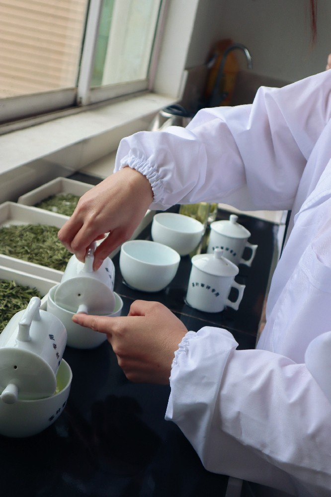 2026年第一杯春茶丨直擊蘭馨茶業質檢一線